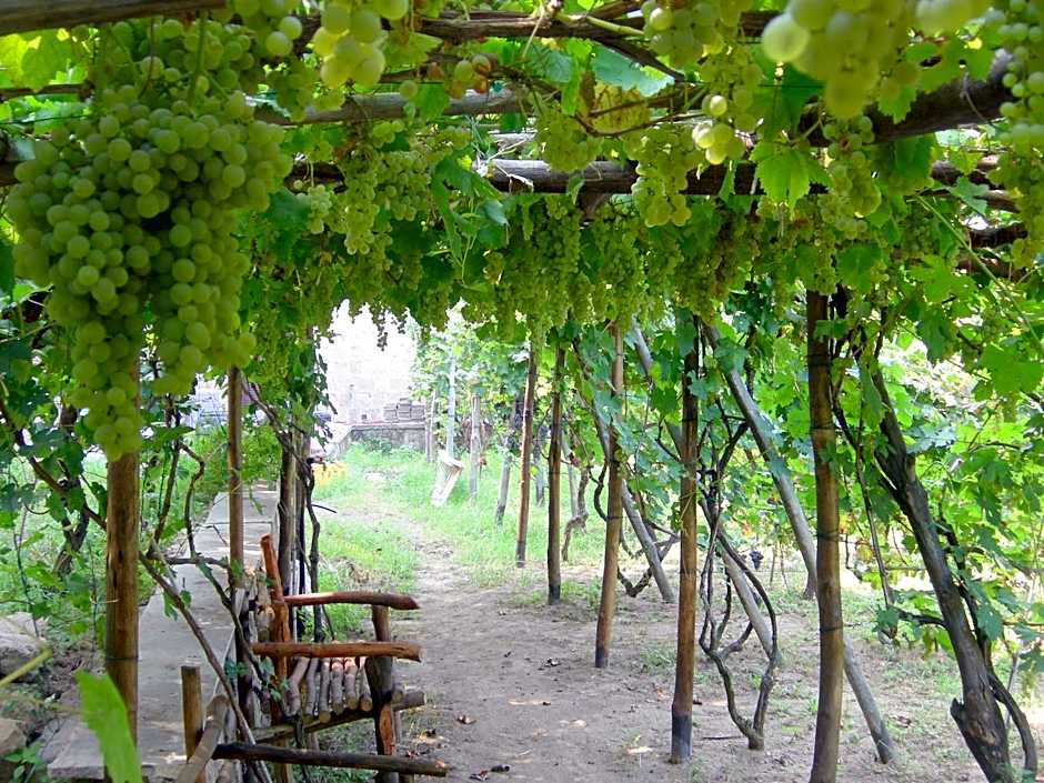 Albergo 'La Vigna'