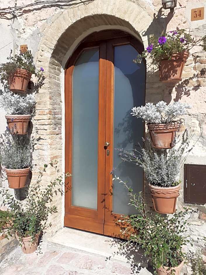 Domus San Francesco