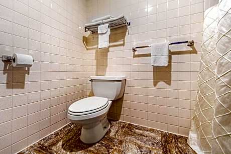 1 King Bed, Suite, Nonsmoking