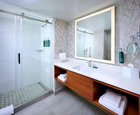 1 King Suite City View