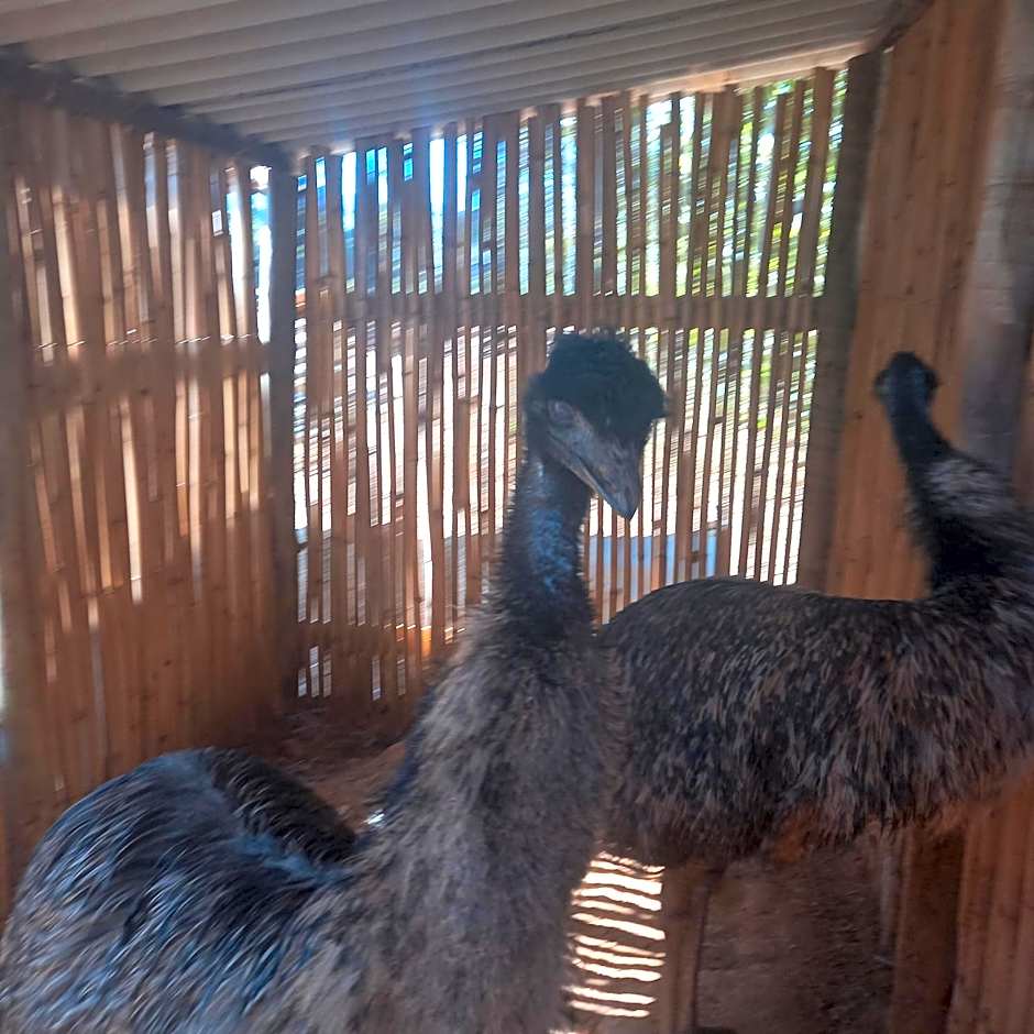 Pousada Campestre Vila Tiradentes