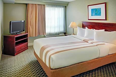 Executive Queen Suite