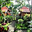 Shanti Natural Panorama