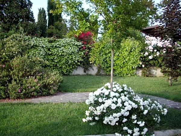La Magnolia - Fano