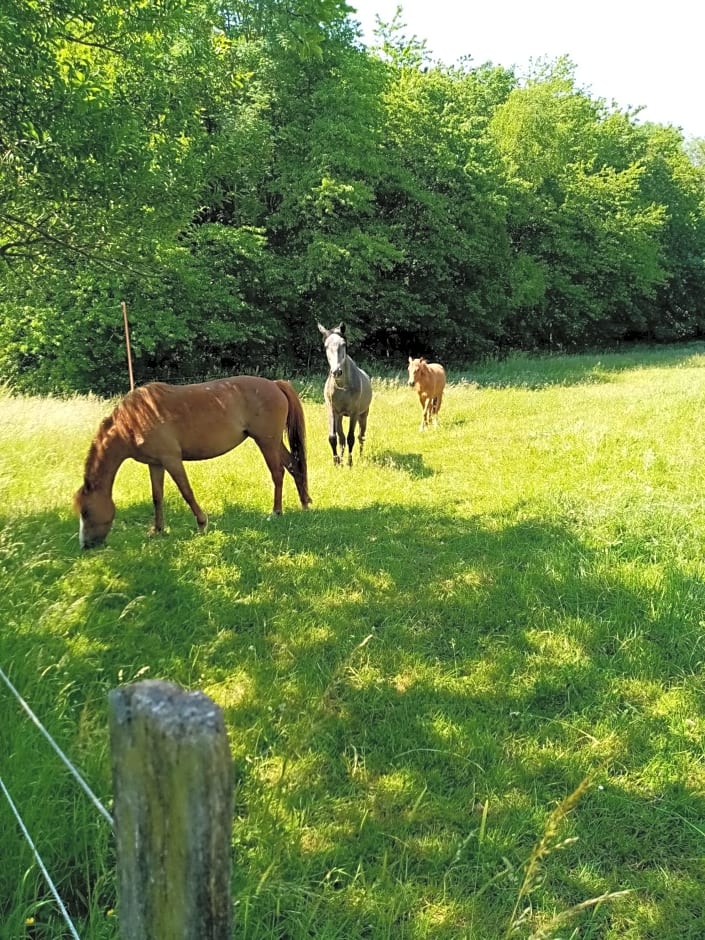 Gîte de la Noyelle à Sainghin en Mélantois