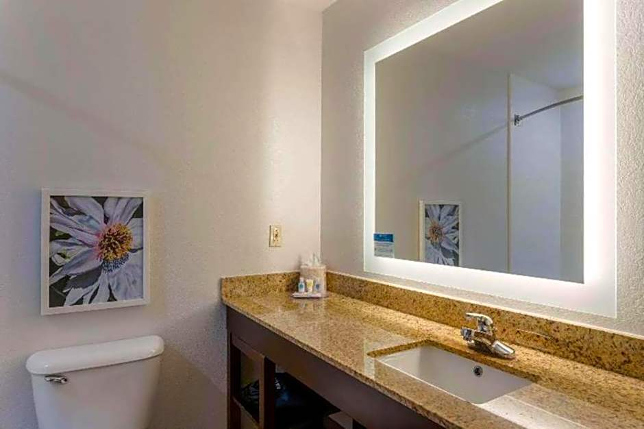 Comfort Inn & Suites Hot Springs Midtown