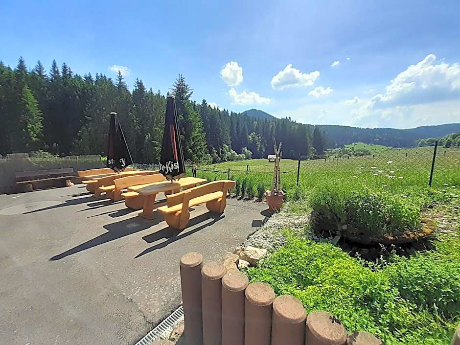 Appartements und Ferienhaus Gasthof Kanzlersgrund