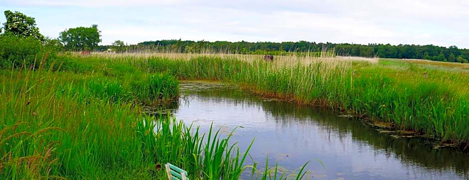 Słoneczny Dom pokoje i apartament na wynajem