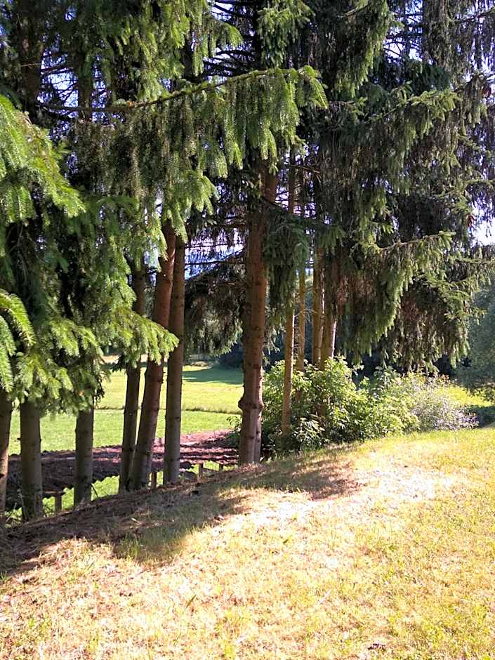 Wohnungen- Christopherhof MJ,Grafenwiesen