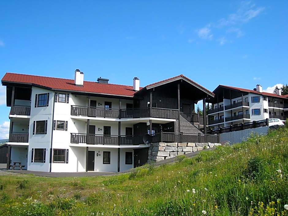 Alpin Apartments Solsiden