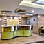 Treebo Premium Metropolis