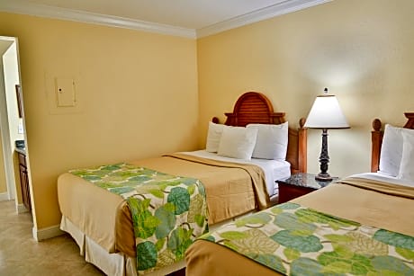 Deluxe Room with Island View