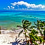 Faro Reef 401 by NAS