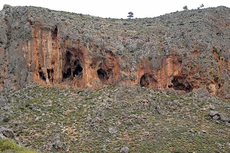 Kato Zakros Palace Apartments