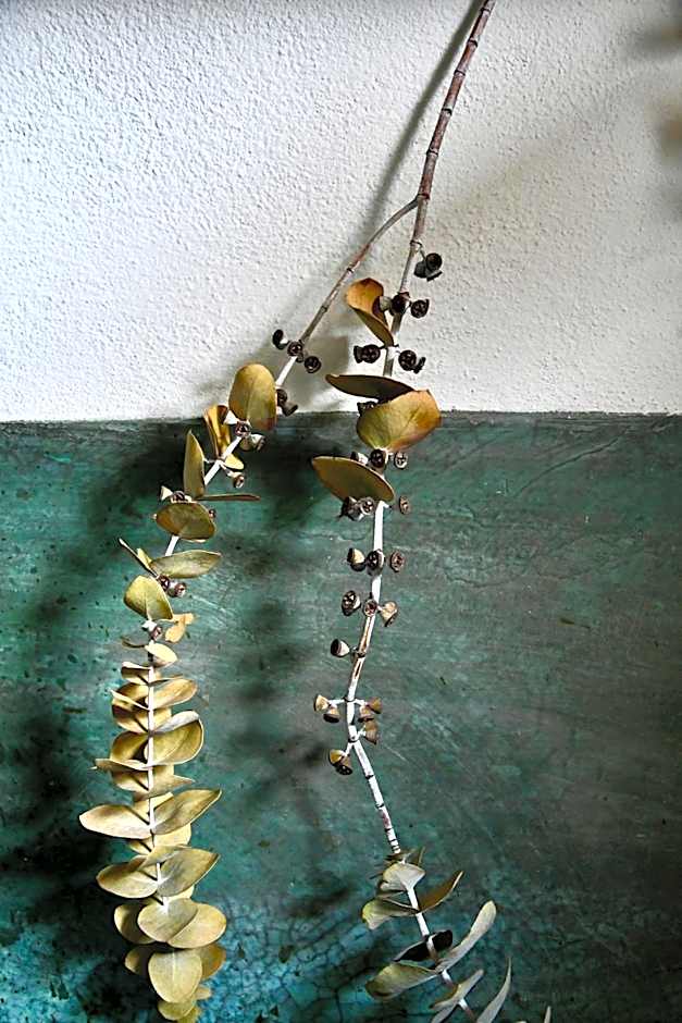 Tal Vez Boutique Hotel