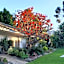 KaapsePracht Bed & Breakfast