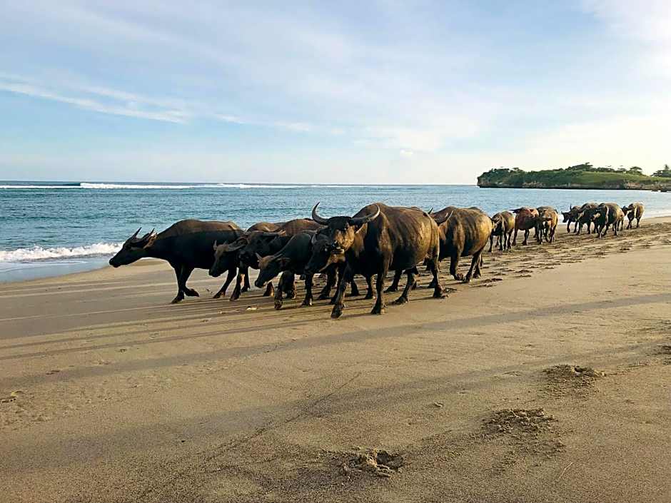 Sumba Beach House