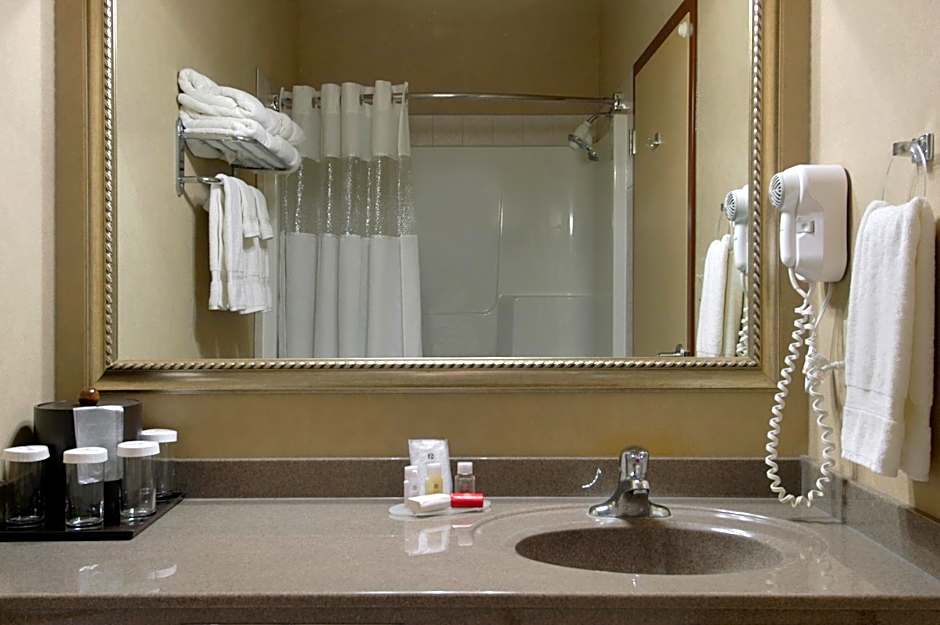 Ramada by Wyndham Drumheller Hotel & Suites