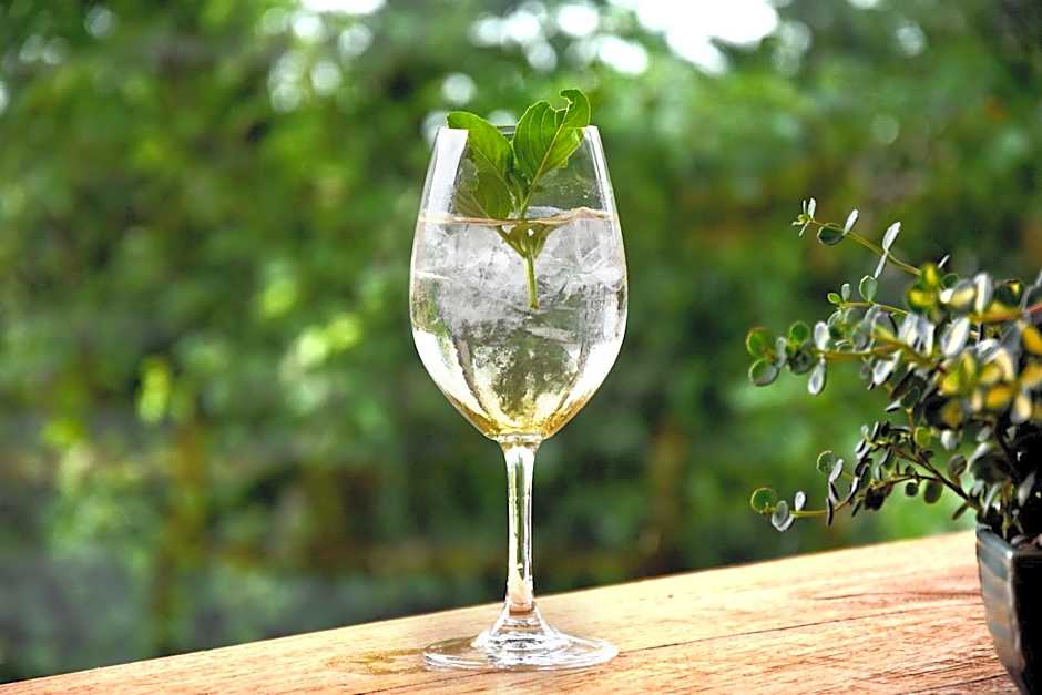 Wellnessgarten-Hotel