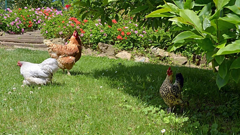 Hostellerie de la Motte jean