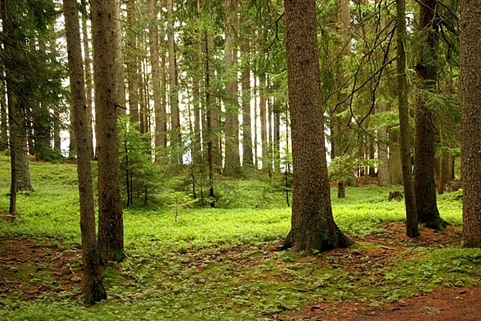 Panoramapension Etschblick