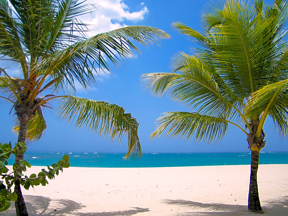 Viva Heavens by Wyndham, A Trademark All Inclusive