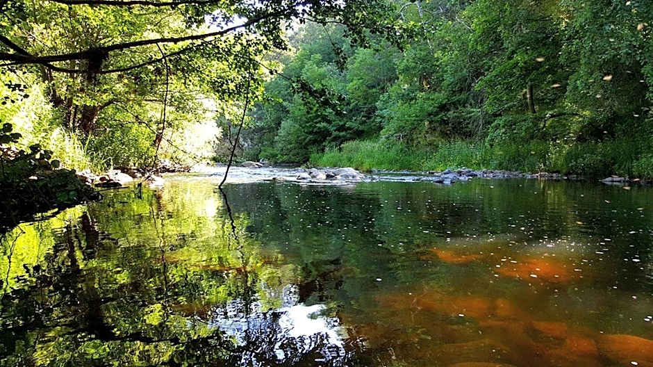 Hôtel du Bout du Monde