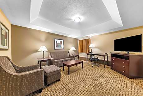 Deluxe King Suite with City View - Non-Smoking