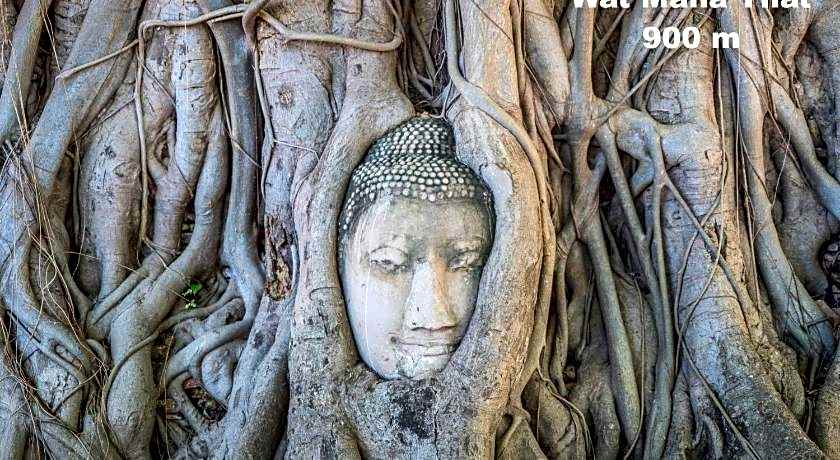 Early Bird Hostel Ayutthaya