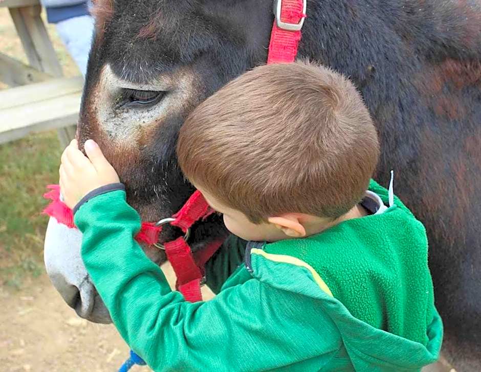 Casa El Tío Carrascón alojamiento rural