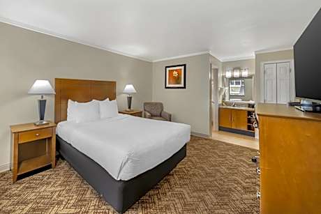 1 QUEEN BED,NSMK,MICRO RFRG,WIRELESS HI SPEED NET,FULL BREAKFAST