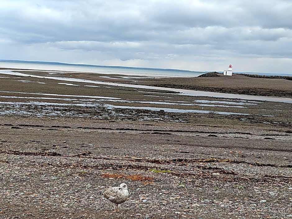 The Parrsboro Mansion Inn