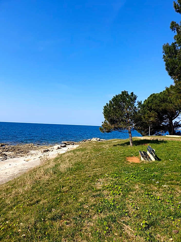 Family Bungalow Pineta