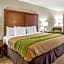 Quality Inn Summerville-Charleston