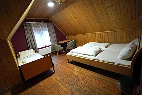 Bunk Bed in Mixed Dormitory Room