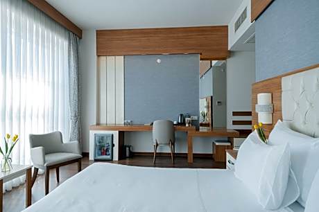 Standart Bosphorus View King Room