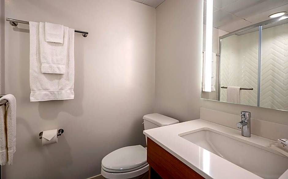 Holiday Inn New Orleans-Downtown Superdome By IHG