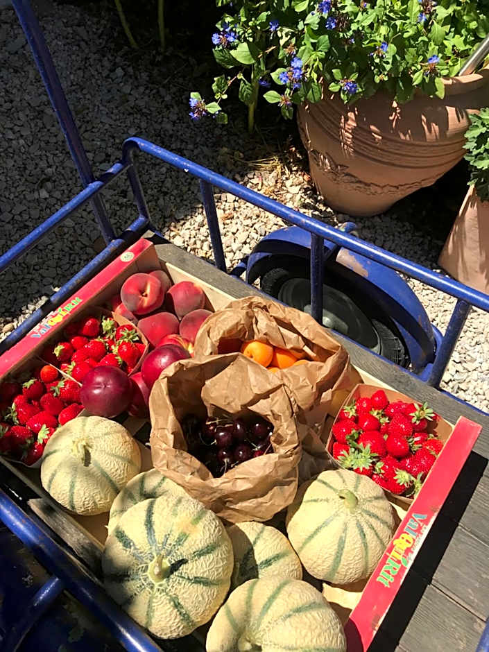 Chambres d'Hôtes et Gîtes Le Mas Mellou