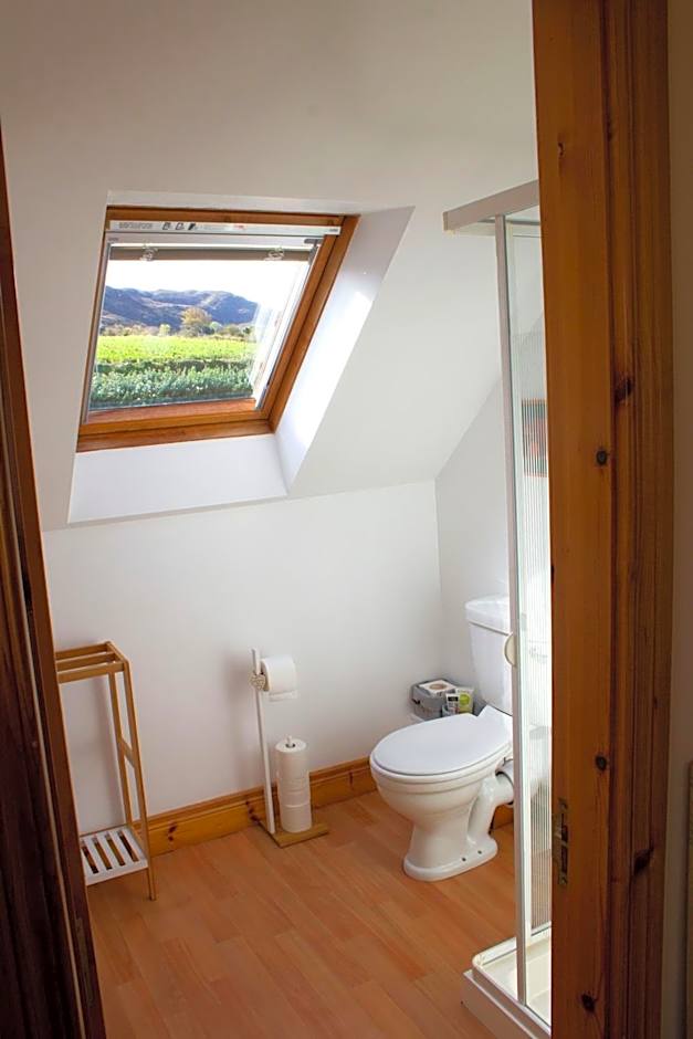 Madra Rua Organic Accommodation