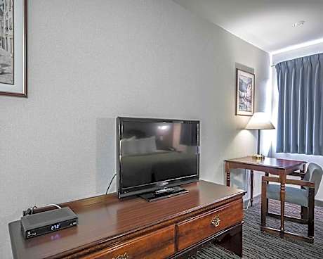 1 King Bed Nonsmoking