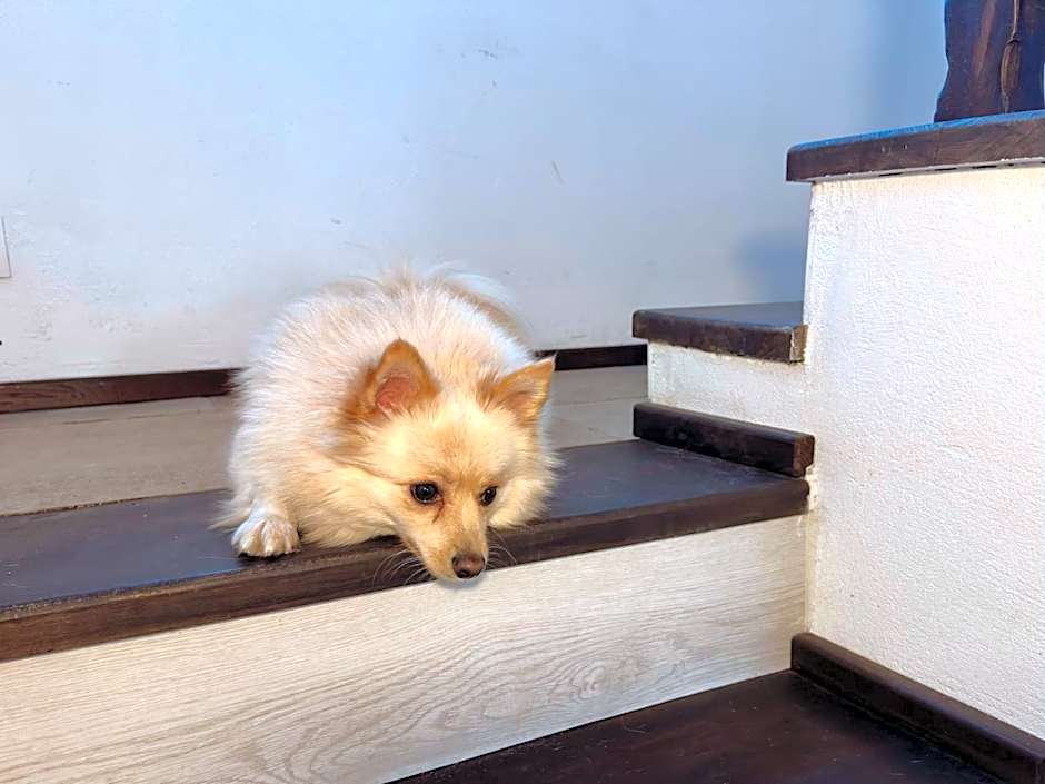 Arthotel Oscar I Sozopol