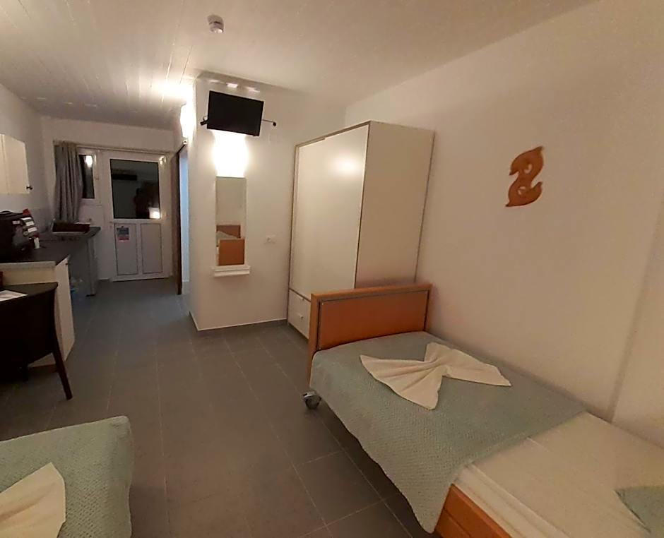 Delphini Studios - for the disabled