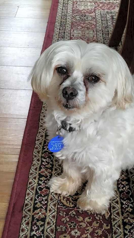 Olive House Bed and Breakfast