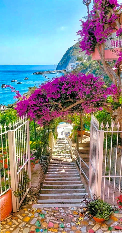 Hotel Casa Rosa Sea & Spa