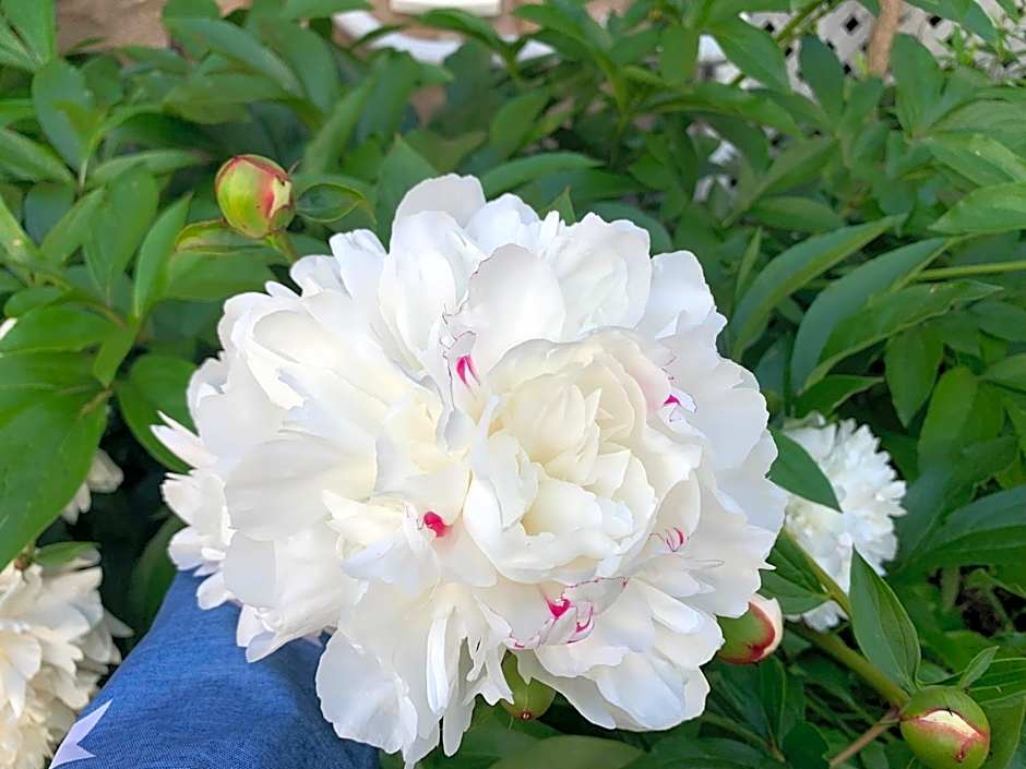 Strathaird Bed and Breakfast