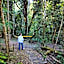 Chambers Wildlife Rainforest Lodges