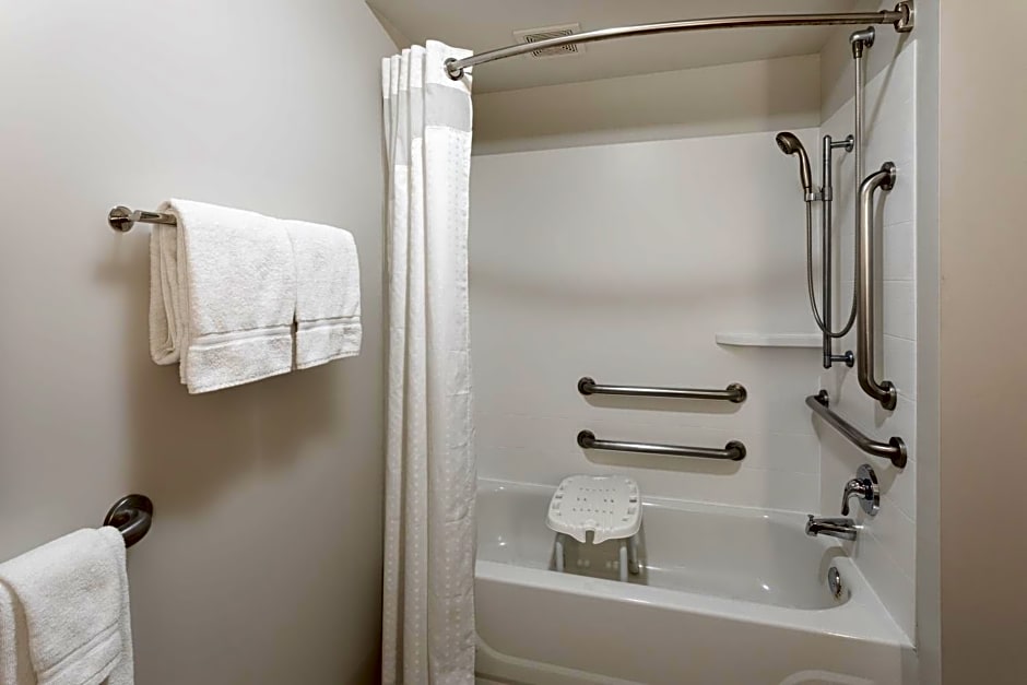 Holiday Inn Express Hotel & Suites Minneapolis-Downtown Convention Center by IHG