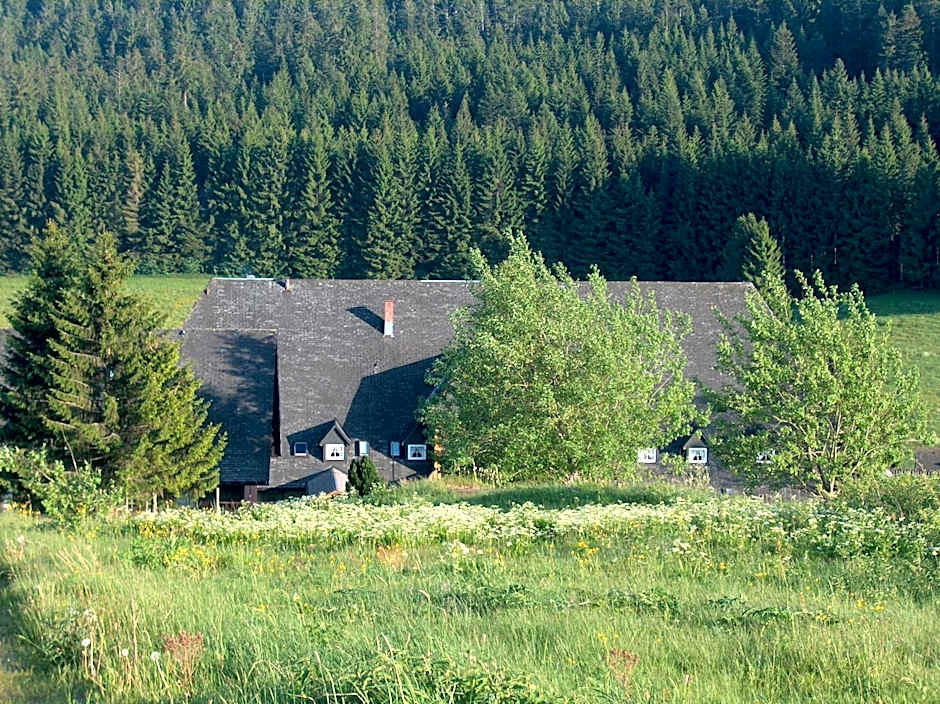 ZUR TRAUBE Schwarzwaldhotel & Restaurant am Titisee