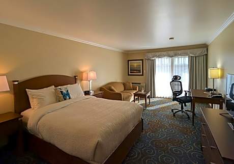 Queen Room with Sofa Bed