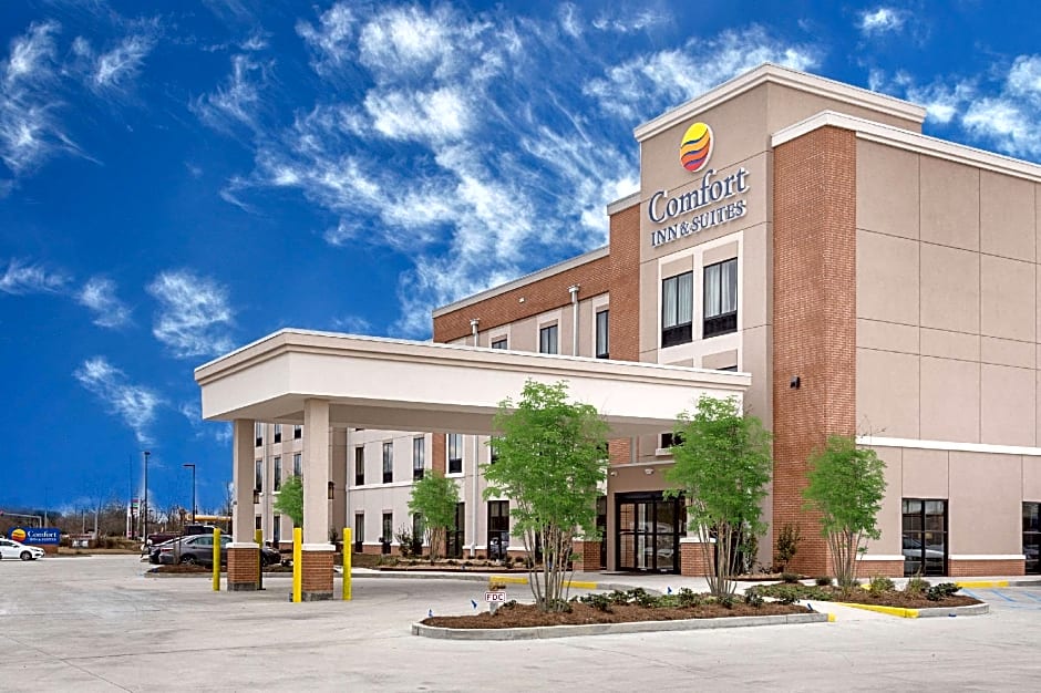 Comfort Inn & Suites Zachary